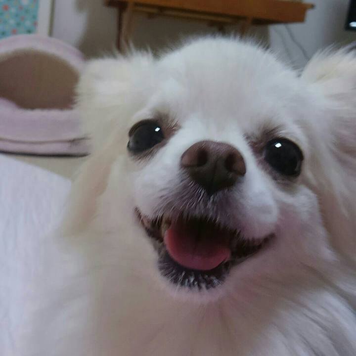 5d598a5f 8ec3 4d70 b9f3 2080edb23e60