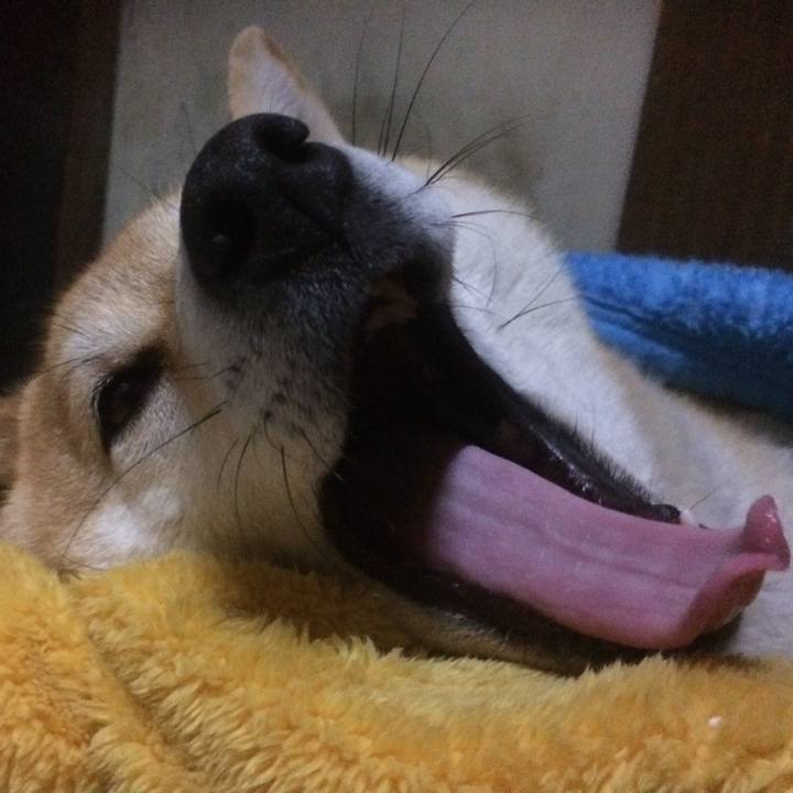 5d59ffbe 50f0 4de9 81ca 229fc3de0291