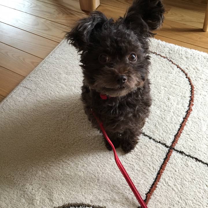 5d5a7d96 1140 4bda bad7 f6f73960c6ce