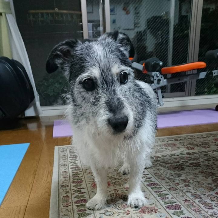 5d5a956b 3112 4e88 a8d6 9fe7658ab203