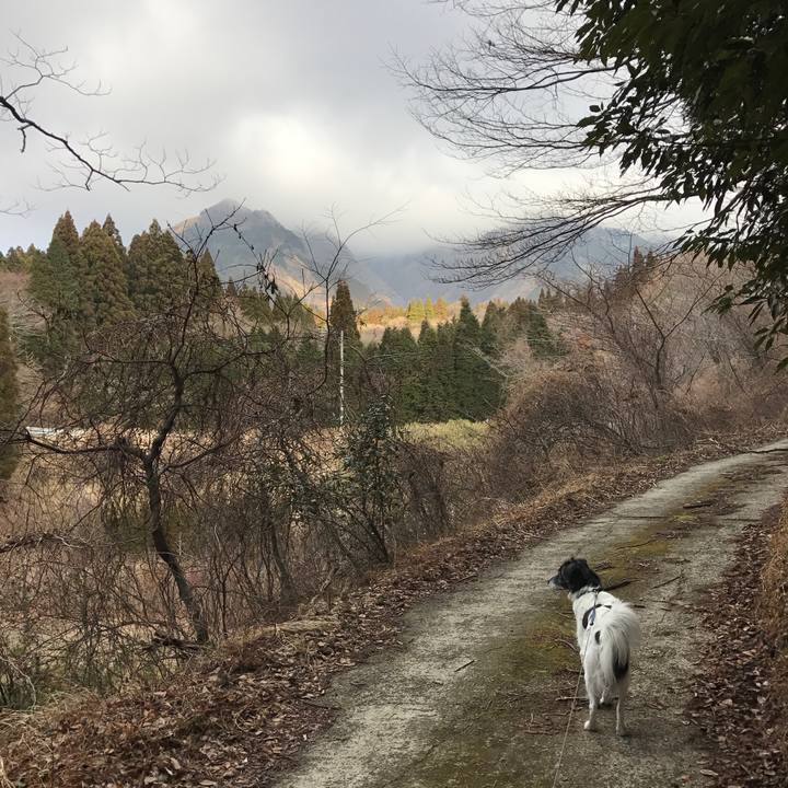 5d5b307f d955 4d34 9b67 d67f54e47fb7