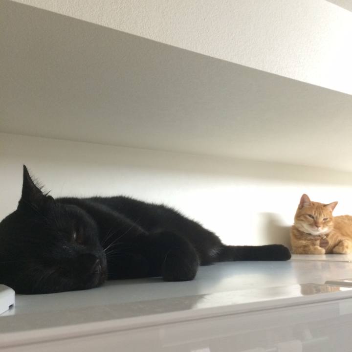 5d5bdadc 8d46 4ba7 be4b d45b6668cae2