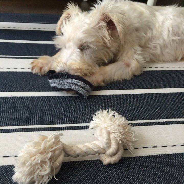 5d5c2d24 f511 477f 82d6 a7e911bbb002