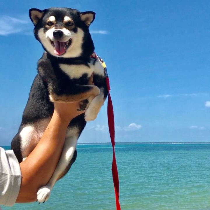 5d5cd409 72d0 46e1 8388 d0a54326544d