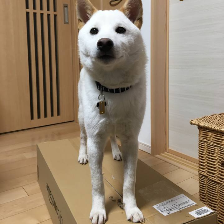 5d5cfb8c 7e38 44f2 aa34 35fa02e862a9