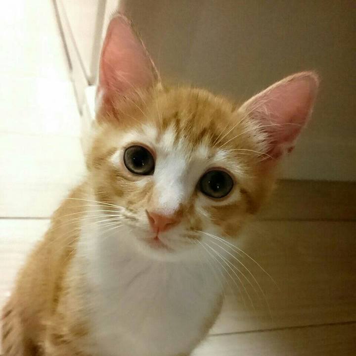 5d5d8ffe 512d 4d15 8718 d3c9cbeebd9f