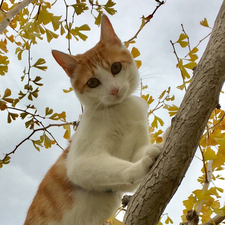 5d5daf26 a1a8 4a5d a244 eb03120dc5a9