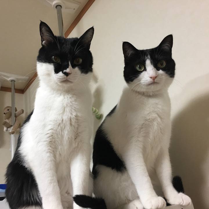 5d5ddf0d a5cf 4a6e bcb5 6c24010d158c