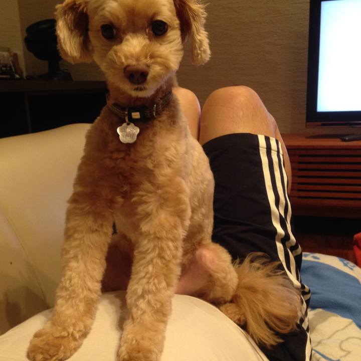 5d5ddf21 aee5 42e0 95de 2230ff666e3d