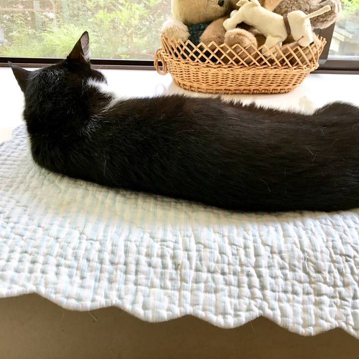 5d5ebbdf 3925 4d7d 93db c3fc1dc13913