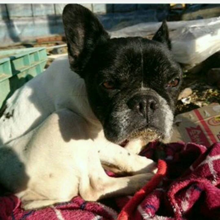 5d5edd91 c9b7 4b74 8395 5989dab41e64