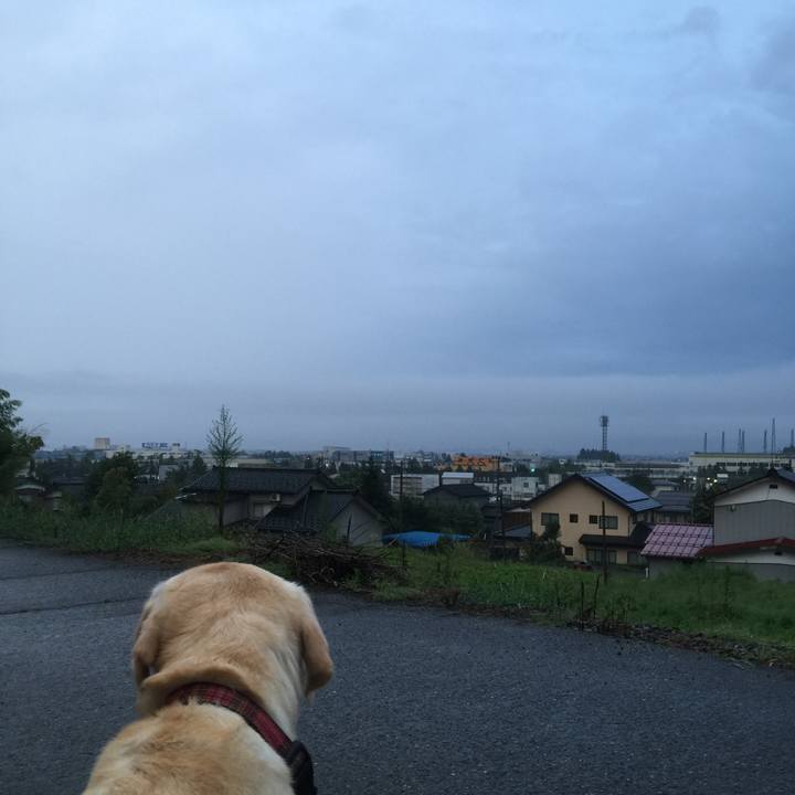 5d5f08ff 7dfc 4bd2 8273 28668ca3b1f1