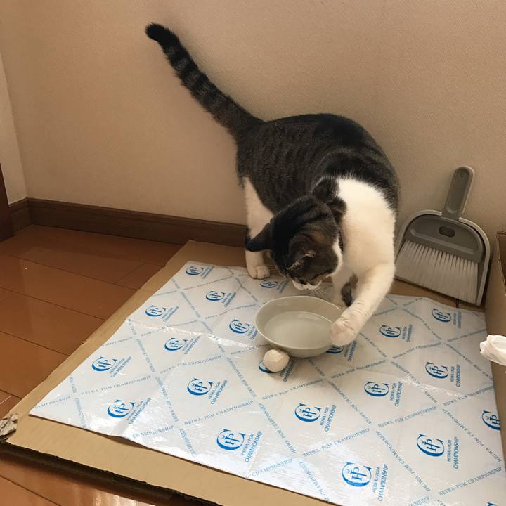 5d5f81b7 18d4 4a51 abc7 a5ee64b84e45