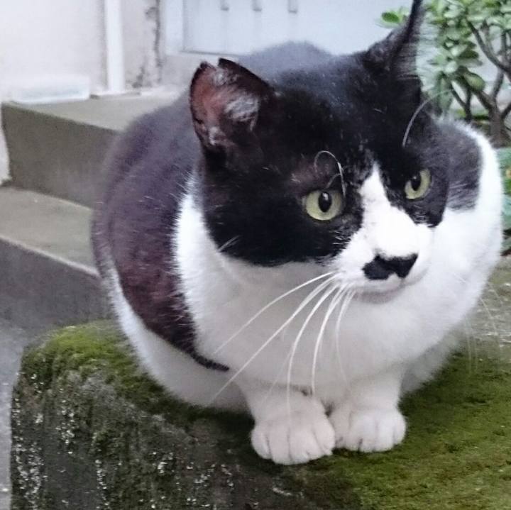 5d5fae1e 5038 4822 aea7 2f08b50d9b4a