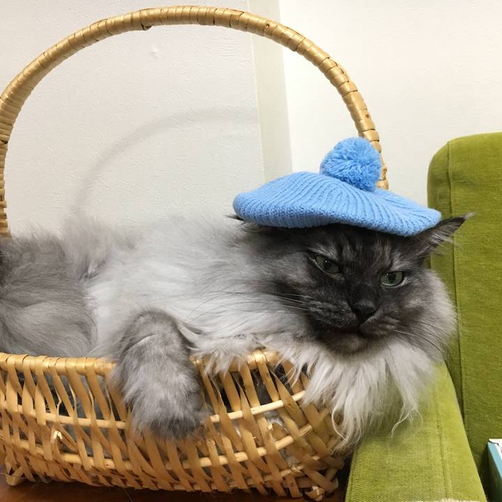 5d5fc18a 377d 4d30 bb64 41c0b7aaade7