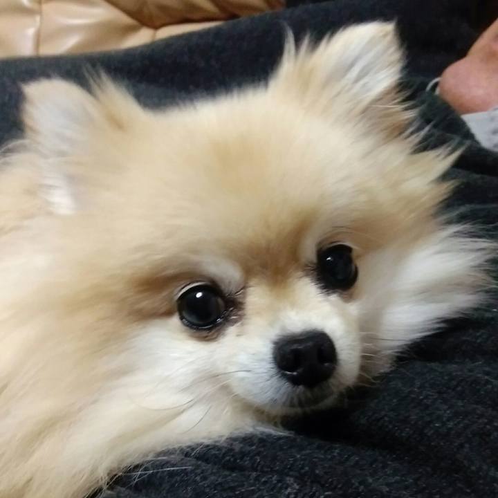 5d60148a a732 4b86 832c d33a9acb25a7