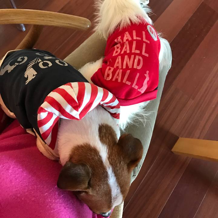 5d604742 8f28 4e69 b7ba 077eb6437388