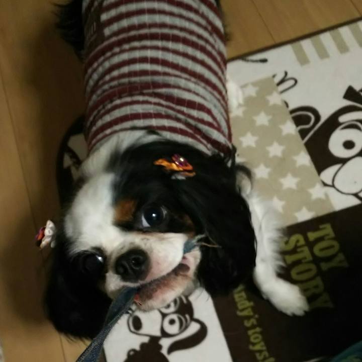 5d6075df a9a4 46f0 aaf4 04506274157b