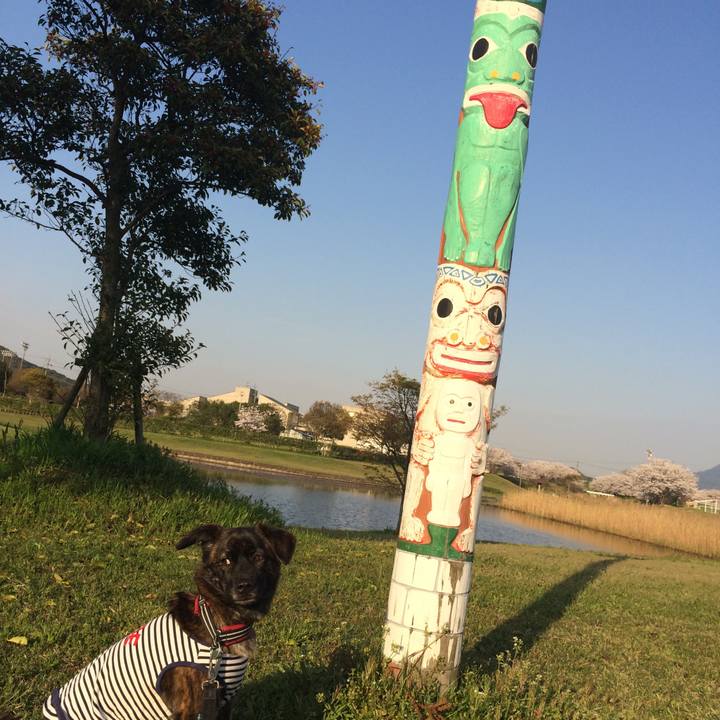 5d619511 3417 4e49 9c90 2e2b5b0dd3bb