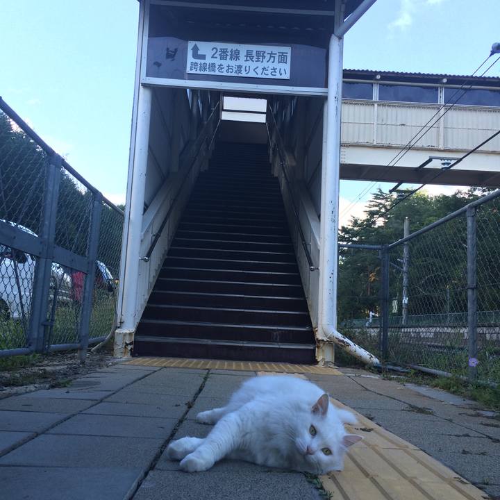 5d61b680 8634 4417 9c28 527a54979739