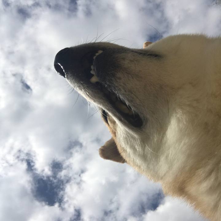 5d61f7e8 5ab3 41b4 9c67 57abc7363741