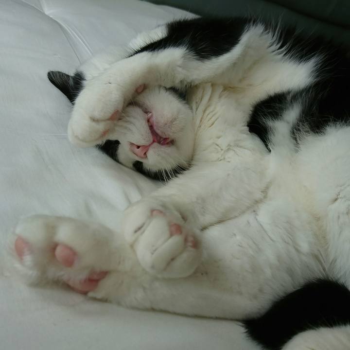 5d632aa5 3f8e 4711 86b8 d7553272e869