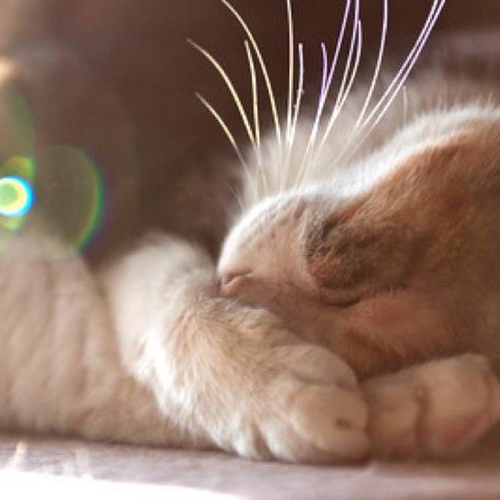 5d637b2c 1007 41df a634 b9ff7de9635b