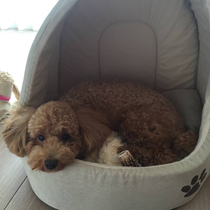 5d637df0 afbf 4f79 98b1 392151e793b9