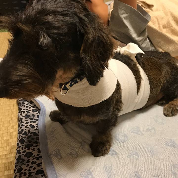 5d638bdc 4b57 4020 b3f4 f9fb65c6ba90