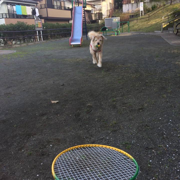 5d639fda 7674 443e a81a 2dcf5f91cfc3