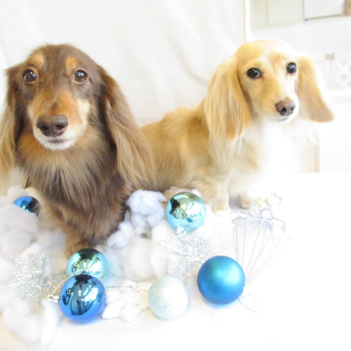 5d63a3cd 8488 4c07 8e42 24fac9644d6b