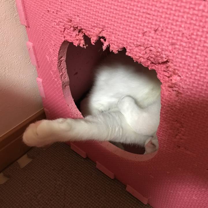 5d63ed3c d924 4b32 9aa0 ce4cac349611