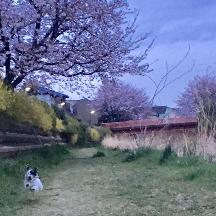 5d63f046 817a 4dd5 b09b d92b5efcebcf