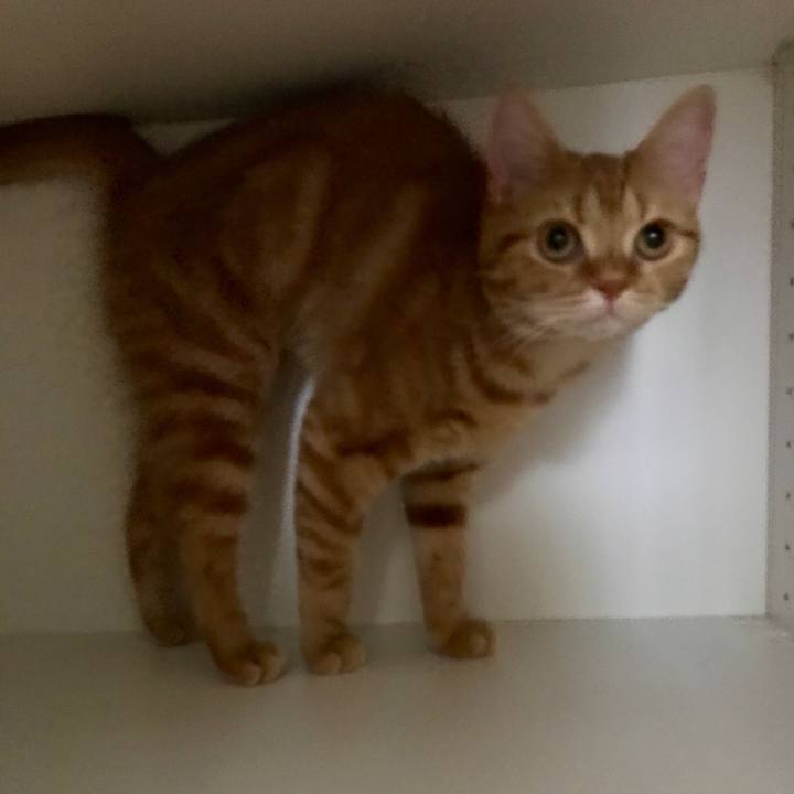 5d65700e 4078 4977 8138 d1dbb6a39c5f