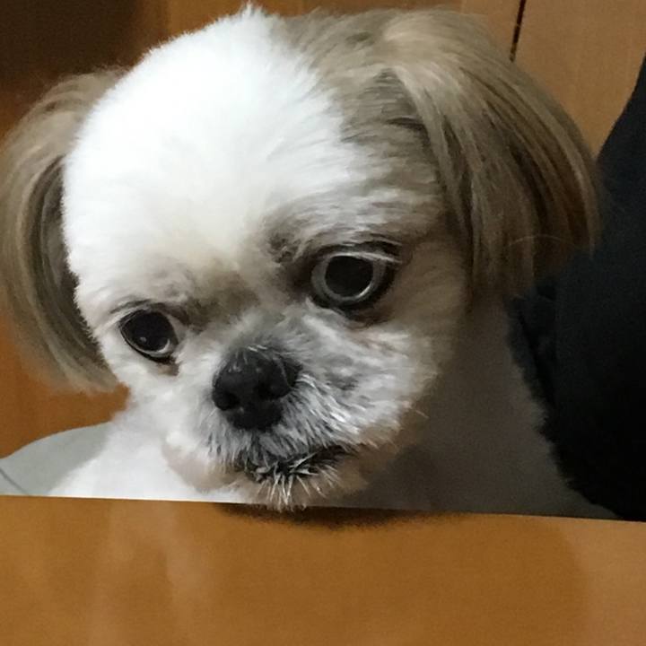 5d65867c 6c64 4549 b18c 32bead76bcca