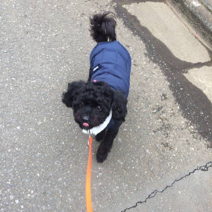 5d65a3a4 3ef6 4208 9781 ec6a010dd831