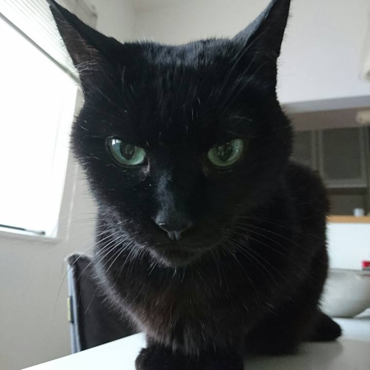 5d660878 c982 4263 aaf0 cd9920e1dfd3