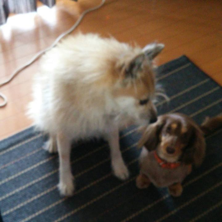 5d66d0d4 6035 4f72 97da a09a09cf5f6d