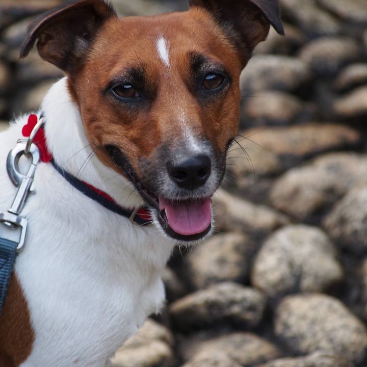 5d677b1c 08ee 41cd 9b74 c9b06f24b802