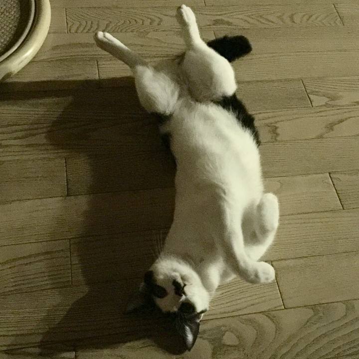 5d67e82d d799 4f7d a4d9 e249eaf044d7