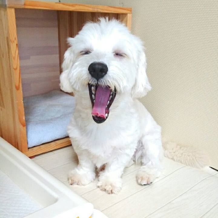 5d67ef93 29e6 47fc 9471 794ff7eac439