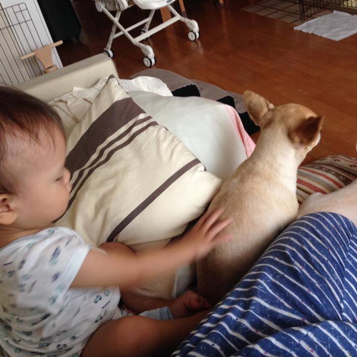 5d680f08 f0f2 42a5 9c54 9dbd3ff72361