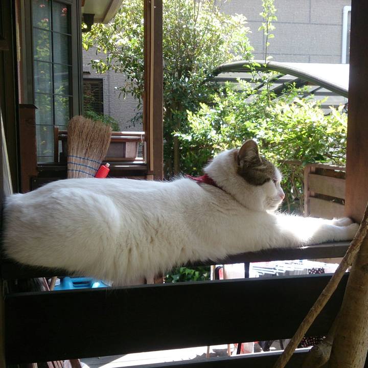 5d685c4d 6933 4022 a965 12db27f5c2e7