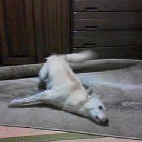 5d695eec 7cb7 41d2 bef1 3fd1a70b567e