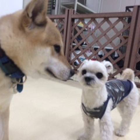 5d6a1e98 d723 42d7 9090 dc8ecd29b930