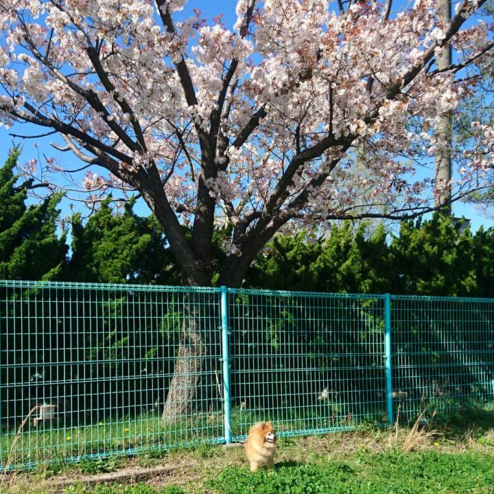 5d6a2987 eeb8 47e8 8789 44f23fd17d70