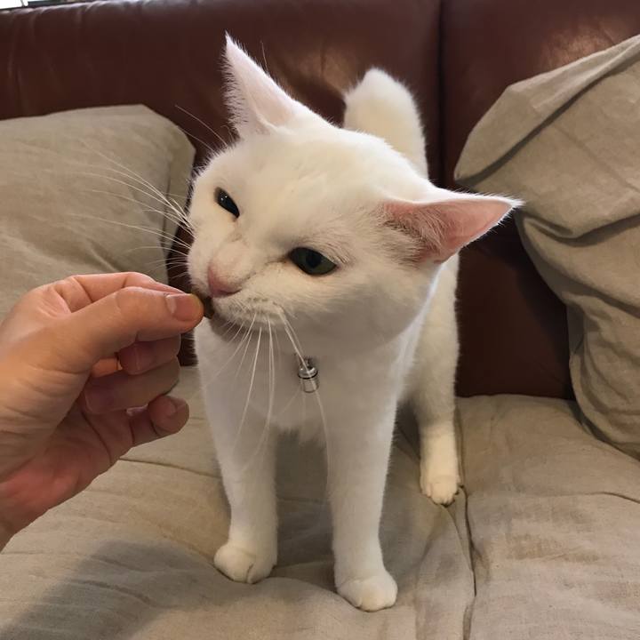 5d6a3a91 54e1 4e87 a68f 7a9ba2251a53