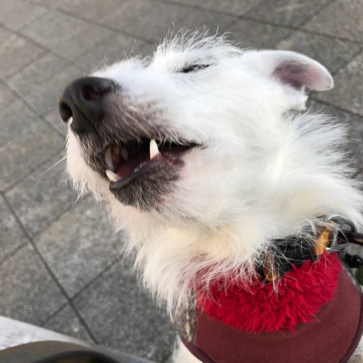 5d6a3bb2 68a7 43f2 9c4f 42751cdd24df