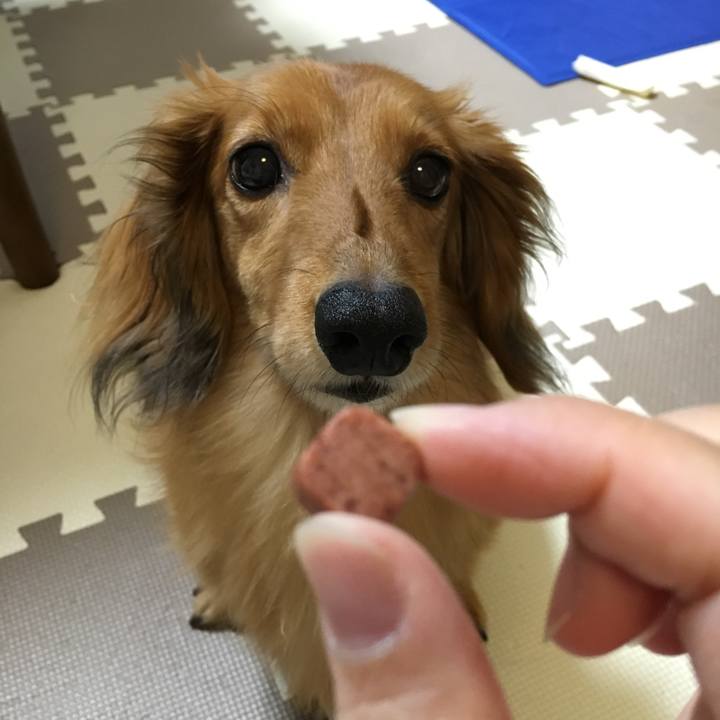 5d6a4c92 5ebf 413b b418 fe666260a157