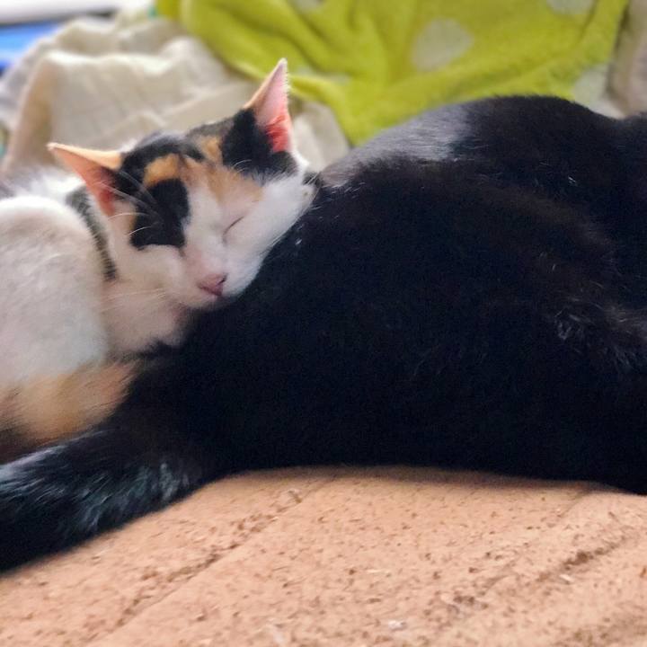 5d6a86af 299d 4e51 bc91 c3746345d2e5